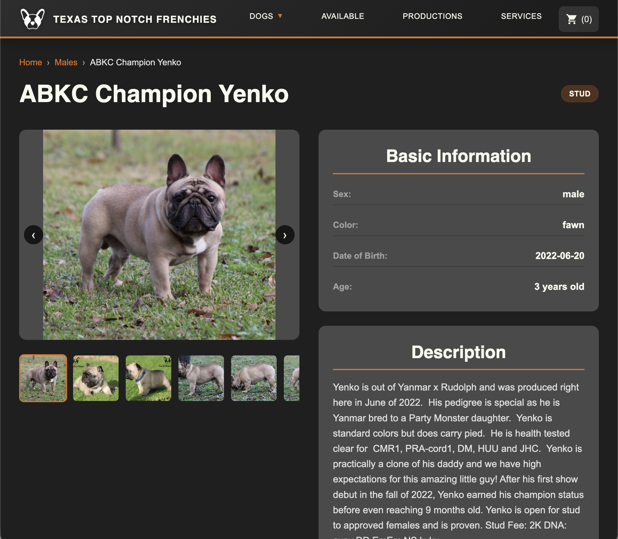 Texas Top Notch Frenchies website showing French Bulldog breeder storefront